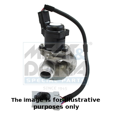EGR Valve